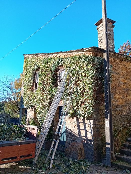 Serviços de jardinagem e limpezas.