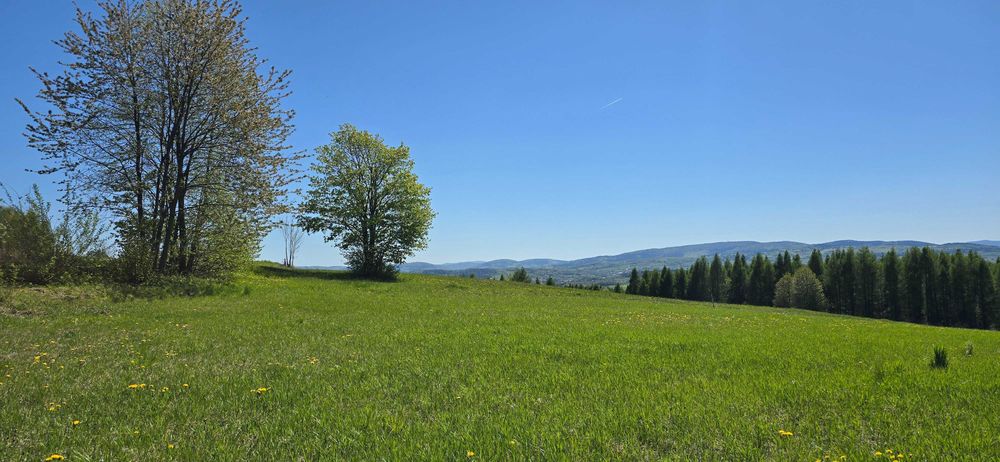 Widokowa działka budowlana z widokiem na Tatry - Widok 3