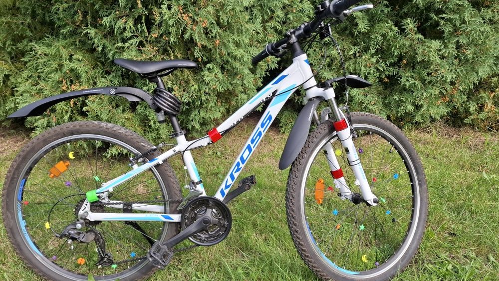 Rower Kross Lea 1.0 XXS z dodatkowym osprzętem