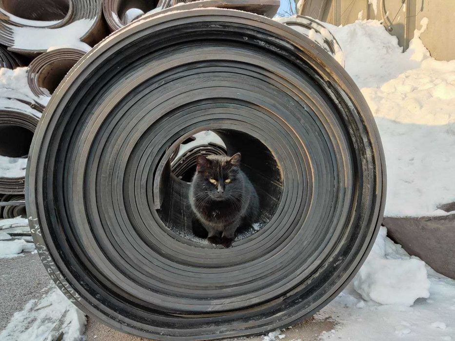 Конвеєрна/Транспортерна стрічка! Лента для конвеєру! ПОСТАЧАЛЬНИКИ!