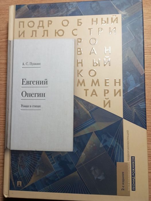 Евгений Онегин. Подробный иллюстрированный комментарий