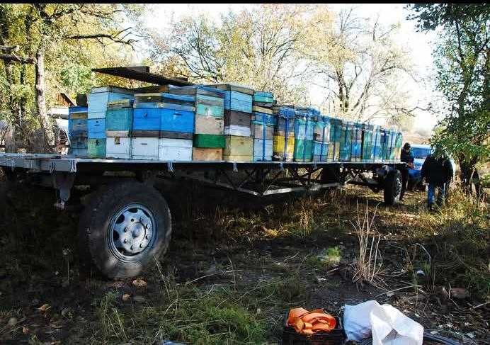 Причіп-платформа для пасіки