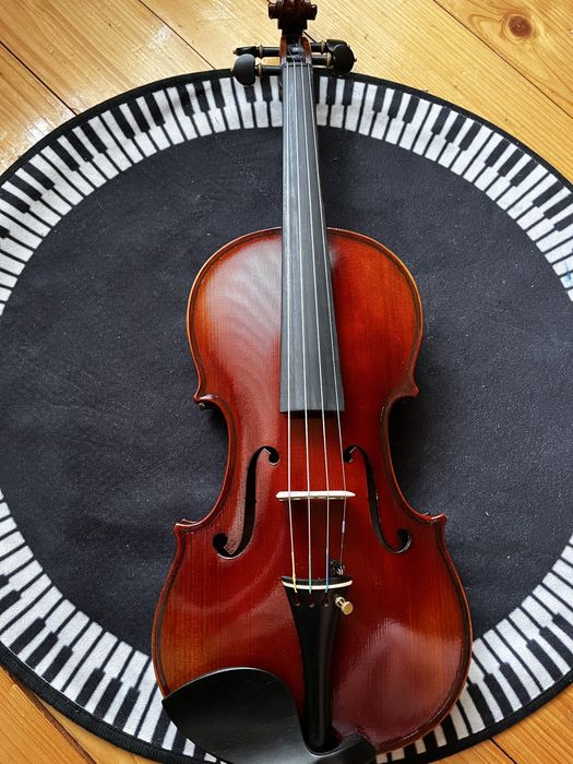 Скрипка пташине око