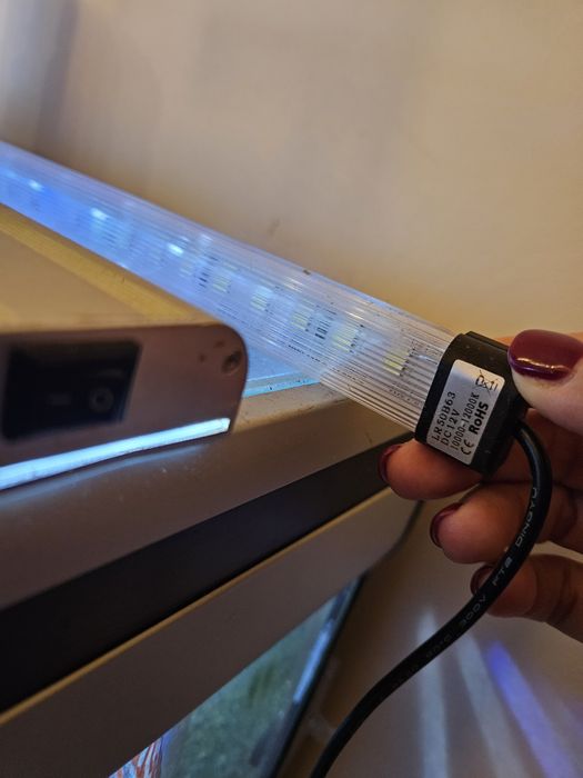 Aquario completo a funcionar