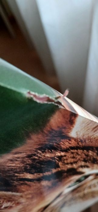 Poster  grande Xodiack