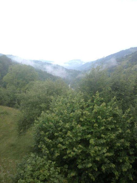 0,73га земли с домом. Буковель в 55 км. Возможно под бизнес!