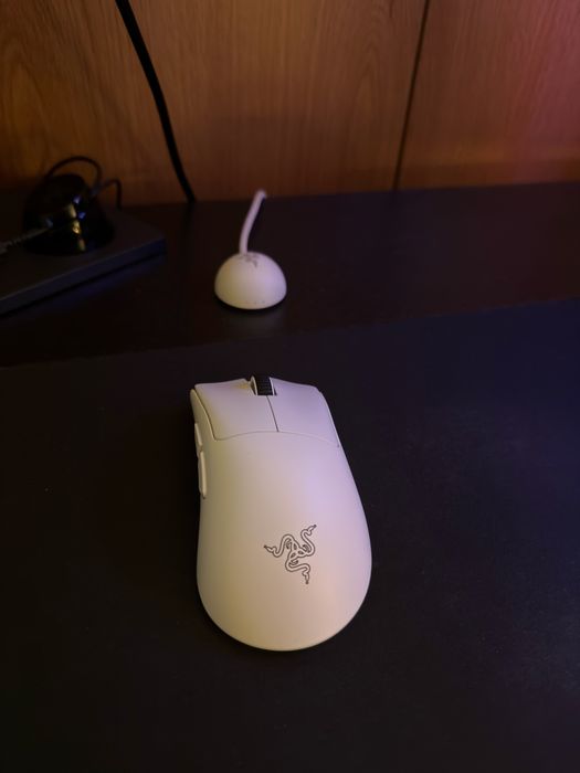 Razer deathadder V4 PRO