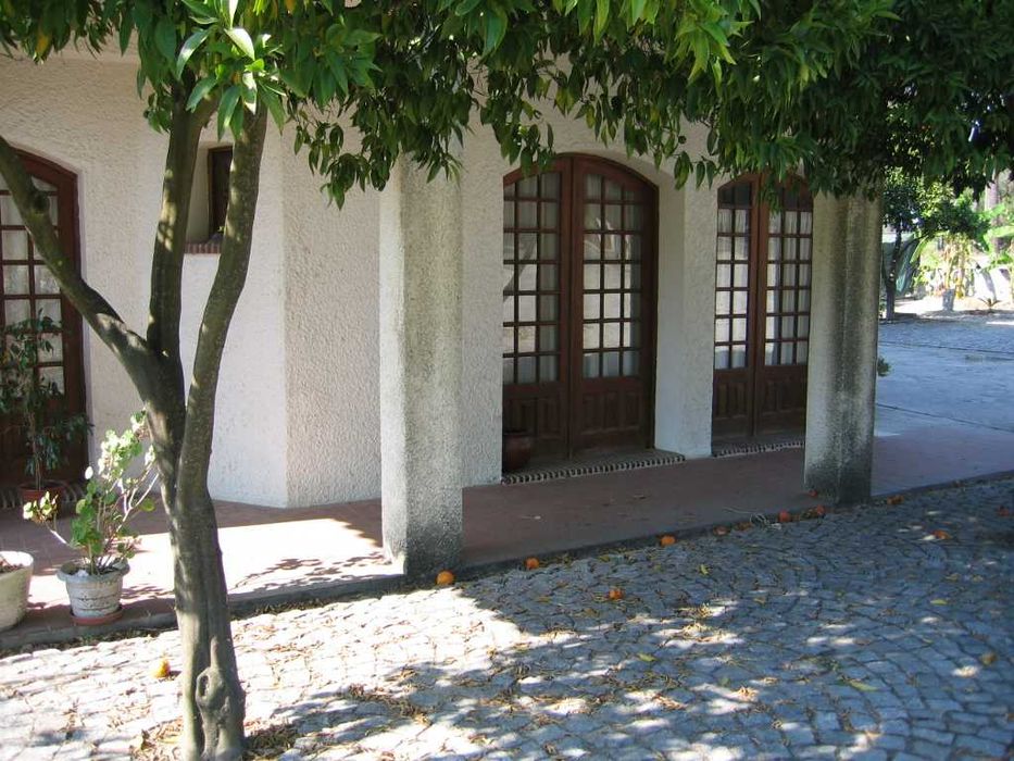 Habitação com imenso potencial.