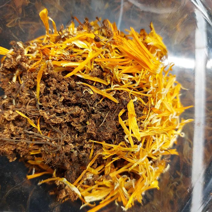 herbata utleniana dzika róża, truskawka, malina, jeżyna