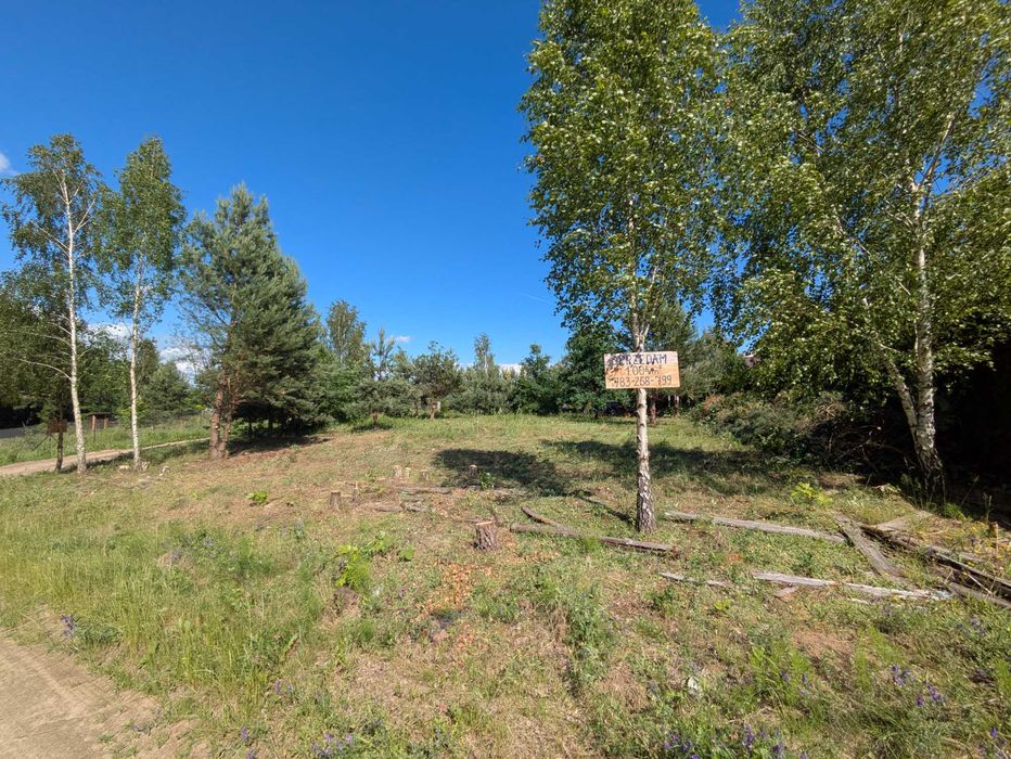 Sprzedam działkę rekreacyjną 1004 m² nad jeziorem miejsc. Radzynek (150 km od Warszawy) - Widok 4