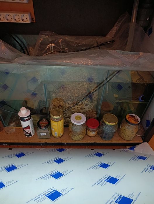 Aquário completo 120x50x50 + sump