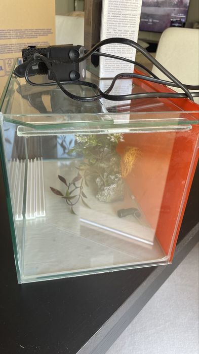 Aquario com filtro incluido