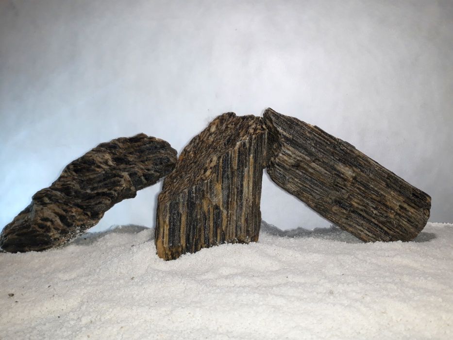 Łupek drzewiasty do akwarium - wszystkie biotopy 50-250 mm