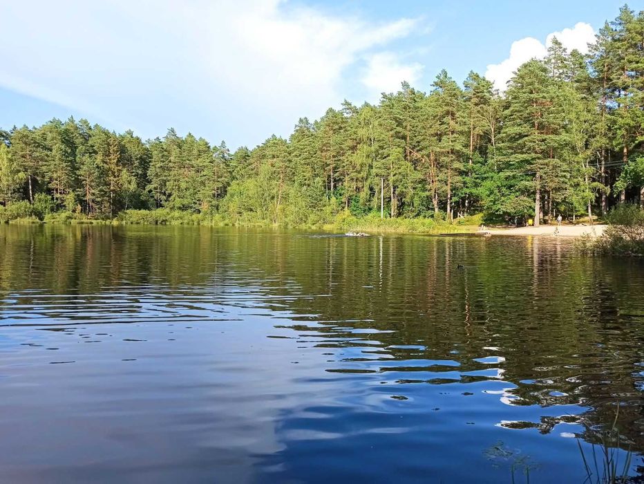 Działki bezpośrednio przy lesie!! 1400 m² z WZ | Wiewiórowo (15km od Koszalina) - Więcej
