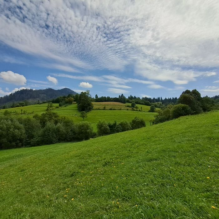 Продам будинок в Міжгірському районі