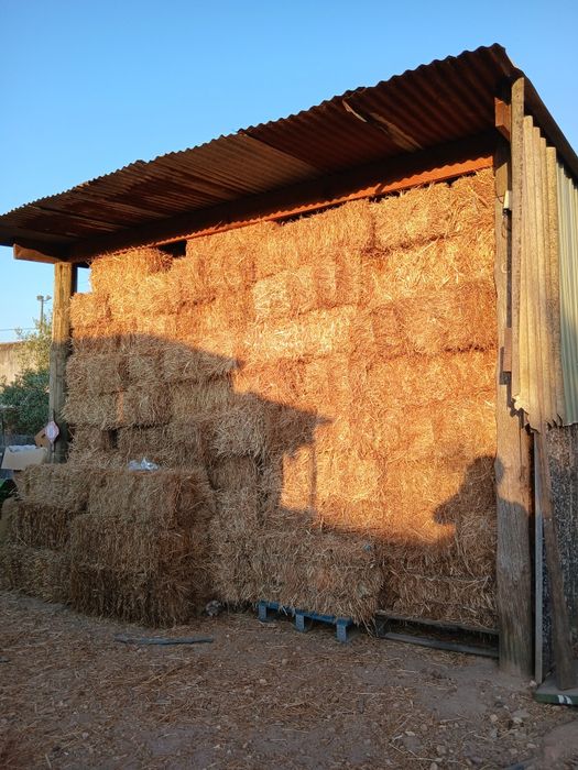 Vendo fardos de feno