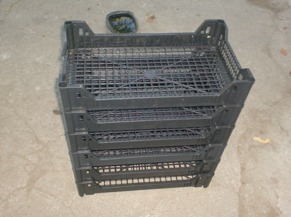 caixas