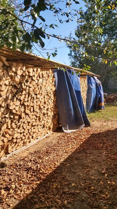 Lenha completamente seca de eucalipto carvalho e australia vendo ao m3