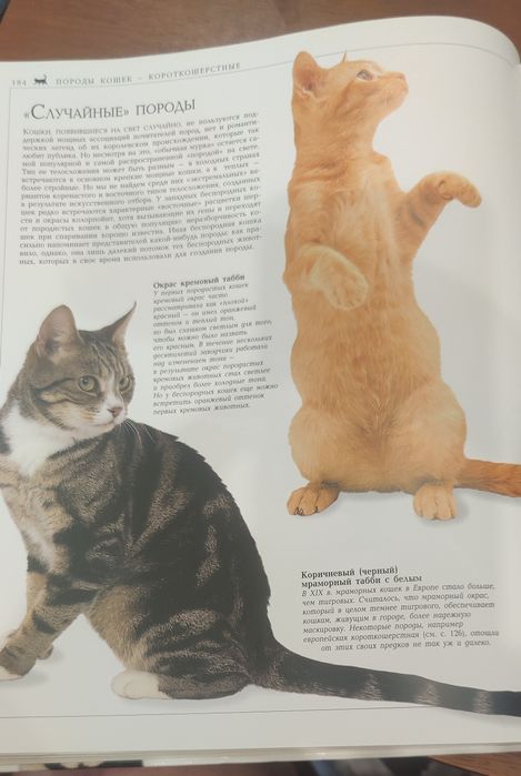 Брюс Фогл Кошки ( энциклопедия)