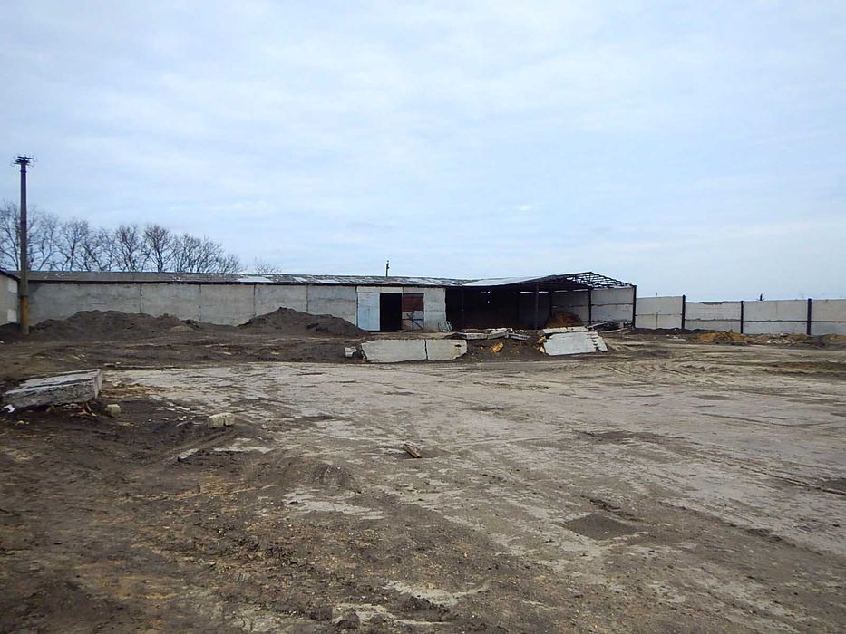 Продається завод з переробки олійних культур та комбікормів