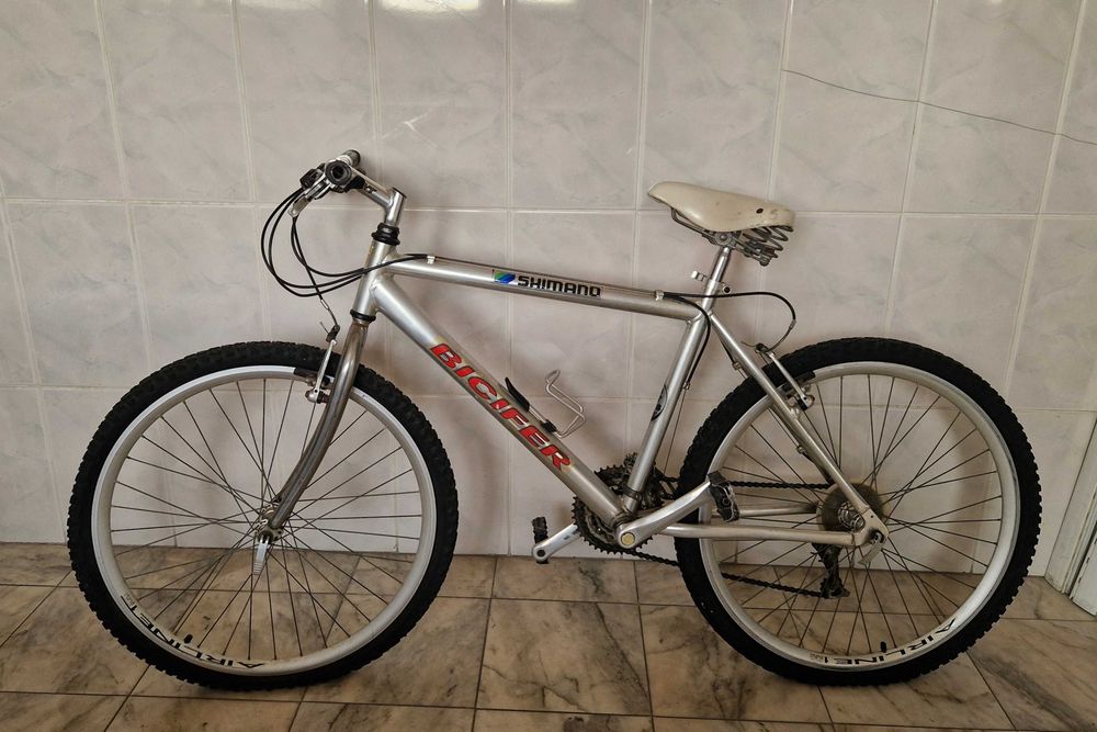 Bicicleta adulto