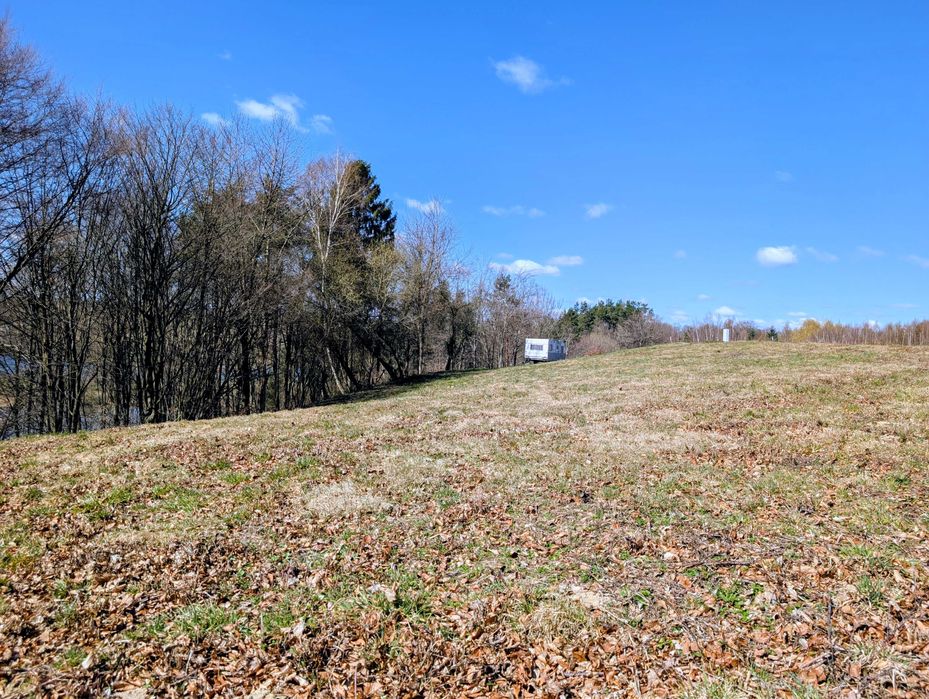 Działka z lasem nad jeziorem, Kaszuby - Widok 5