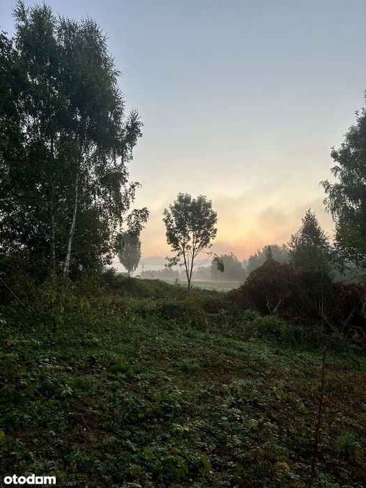 Solina 1,97 ha | MPZP | pod inwestycję (podział/domki) | PUM do 2800m2