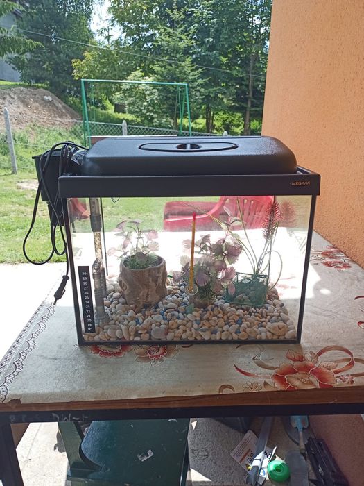 Akwarium z roślinkami poj ok33l