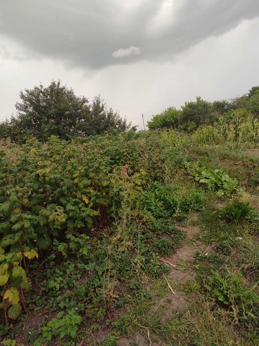 Продам будинок в селі