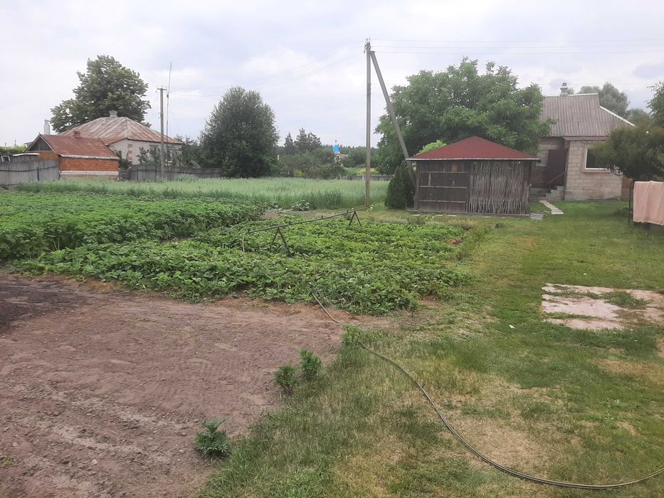 Земельна ділянка з будинком