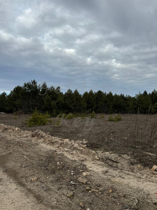 Продам земельну ділянку 50 сотих, серед СОСЕН,ЛІС,ОЗЕРО, 20кмКиїв