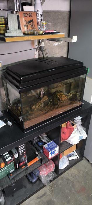 2 Aquários para Despachar ( venda ).