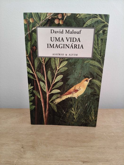 Uma Vida Imaginária - David Malouf