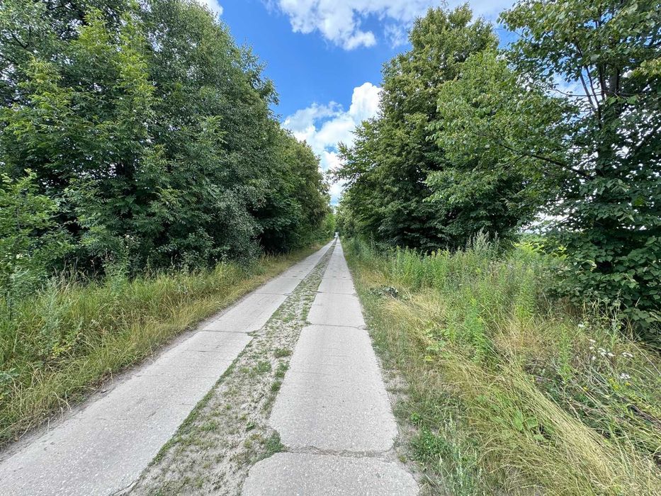 Фото ділянки