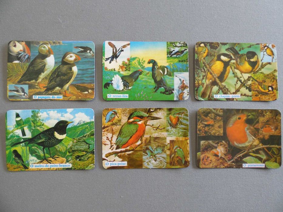 Calendários Aves