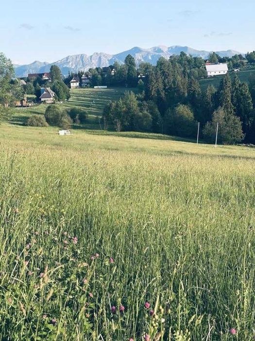 Działka budowlana Czerwienne z widokiem na Tatry