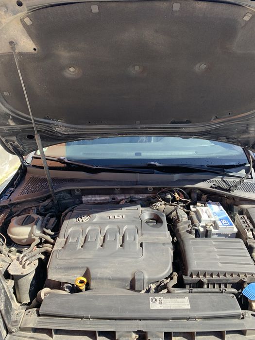 Гольф 7 , 2015 рік