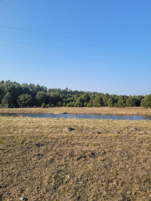 Działka budowlana przy lesie - 25 km od niemieckiej granicy Słubice/Świecko