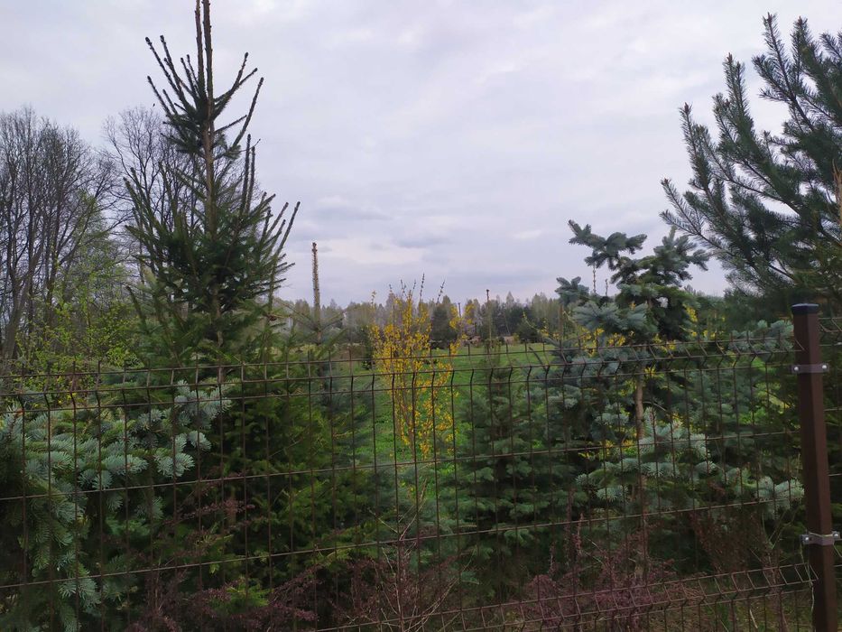 atrakcyjna działka budowlana pod budownictwo jednorodzinne 2000 m kw w Kamionce - Widok 4