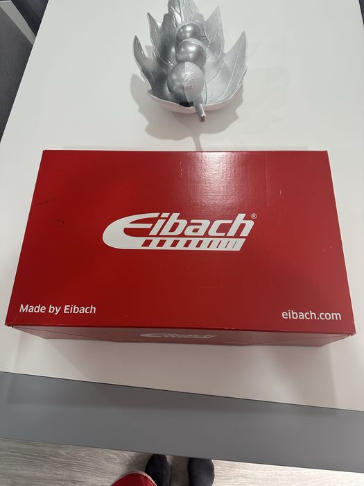 Molas eibach pro kit