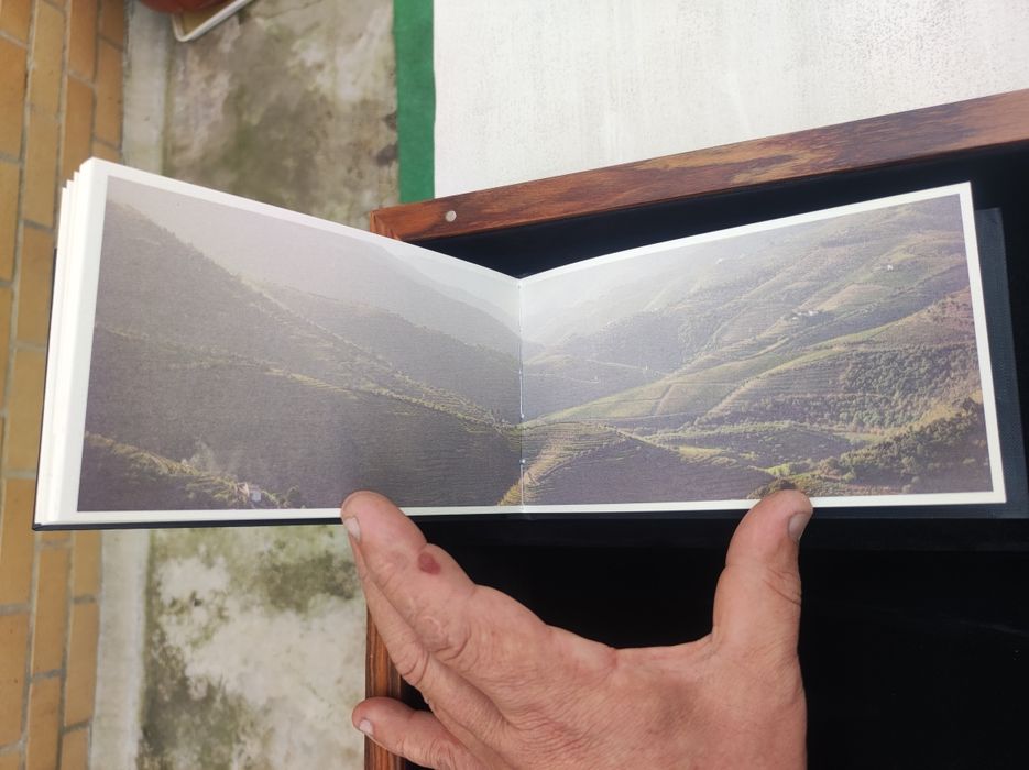 Caixa de vinho do Porto vale Dona Antónia 1969