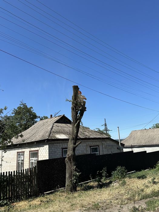 Спилить дерево, срезать дерево