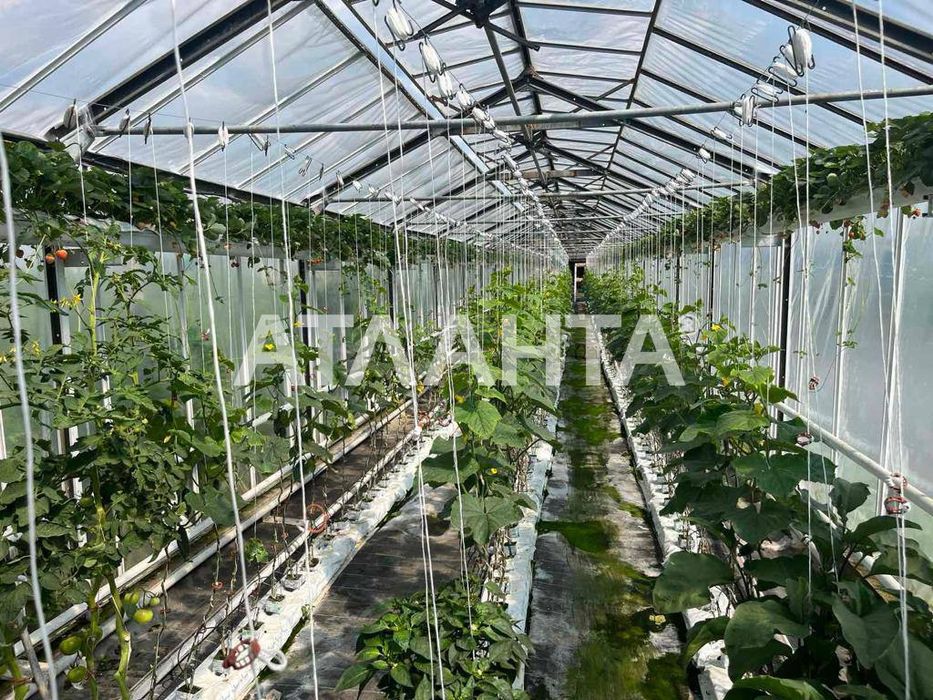 Продаж готового бізнесу з садівництвом м. Жовква