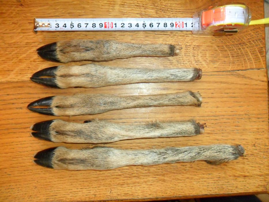 Козьи ножки ( козячі ніжки )