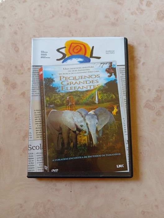 DVD Pequenos Grandes Elefantes