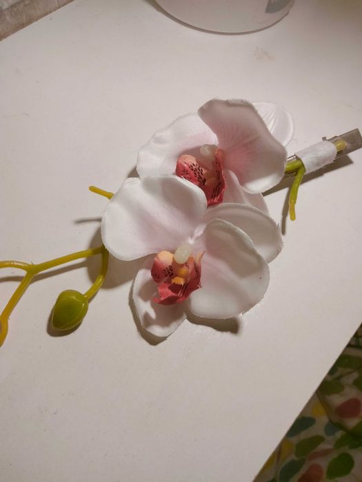 Alfinetes e ganchos cabelo