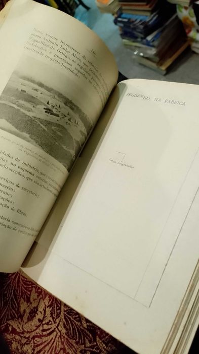 O Linho em Portugal 1943