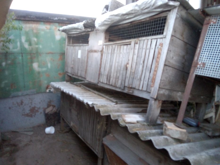 клітки для кролів.