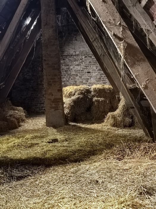 Oddam słomę luzem