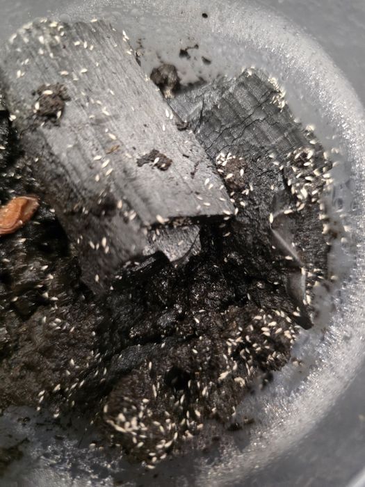 Skoczogonki - ekipa sprzątająca